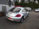 Volkswagen Beetle - 4