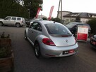 Volkswagen Beetle - 5