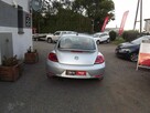Volkswagen Beetle - 6