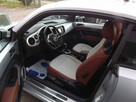 Volkswagen Beetle - 8