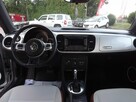 Volkswagen Beetle - 10