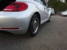 Volkswagen Beetle - 11
