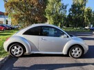 Volkswagen new beetle - 10