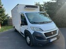 Fiat Ducato Chłodnia Klima LED Zarejestrowany 3.0 - 2