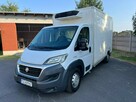 Fiat Ducato Chłodnia Klima LED Zarejestrowany 3.0 - 3