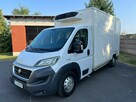 Fiat Ducato Chłodnia Klima LED Zarejestrowany 3.0 - 4