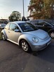 Volkswagen new beetle - 3