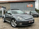 Volkswagen Beetle - 2