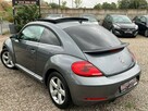 Volkswagen Beetle - 4