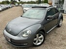 Volkswagen Beetle - 15