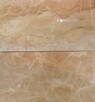 Marmur BRECCIA ONICIATA 60x30x2 poler - 1