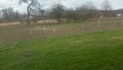 Dom 150m2 z Garazem , Dzialka 1600m2 Natura 2000. - 16