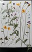 Suszone kwiaty na płasko #scrapbooking - 2