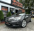 Opel Cascada Bezwypadkowy, Alu felgi 19 Cal, Zarejestrowany w PL, Książka serwisowa - 7