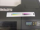 HP Designjet 800 42 (C7780B) - 6