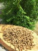 Pellet drzewny Green Pellet od 1 palety ! - 2