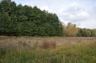 Działka, Klarów, 1,09 ha - 2