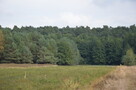 Działka, Klarów, 1,09 ha - 3