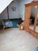 Wynajmę pokój dwuosobowy - 4