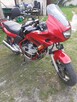 Yamaha XJ600S Diversion - 1