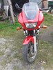 Yamaha XJ600S Diversion - 4