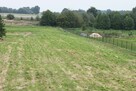 Działka rolna Rozkopaczew gm. Ostrów Lubelski - 2