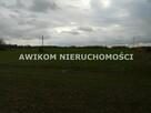 Działka siedliskowa Lisowola gm. Puszcza Mariańska - 3