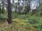 Piękna działka w otulinie lasu blisko rzeki. - 5