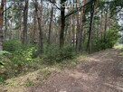 Piękna działka w otulinie lasu blisko rzeki. - 10