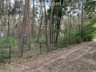 Piękna działka w otulinie lasu blisko rzeki. - 12