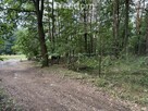 Piękna działka w otulinie lasu blisko rzeki. - 13
