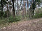 Piękna działka w otulinie lasu blisko rzeki. - 14