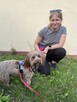 Szkolenie psów / behawiorysta / petsitter / Trener psów / - 3