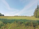 Działka rolna 2.20 ha z możliwością zabudowy w Linkowie - 4