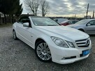 Mercedes E 350 E350CDI*Cabriolet*B i Xenon*Skóra*Navi*Polecam ! ! ! - 2