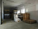 Hala Magazynowa 1700 mkw z Zapleczem Socjalnym - 10