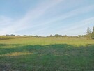 Działka rolna 2.20 ha z możliwością zabudowy w Linkowie - 3