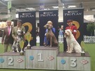 Szczenięta wyżła weimarskiego rodowodowe po championach - 12