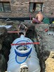 Zbiorniki na Deszczówkę i Szambo - 10