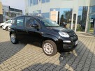 Fiat Panda EASY 1.2 69KM,  serwisowany, niski przebieg - 2