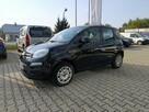 Fiat Panda EASY 1.2 69KM,  serwisowany, niski przebieg - 8