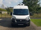 Fiat Ducato L3H2 CHŁODNIA AGREGAT IZOTERMA DŁUGI WYSOKI KLIMA GRZANIE - 15