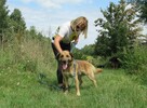 Kubuś do adopcji - 5