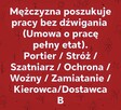 Poszukuję Pracy przy Ręcznym Zamiataniu - 3