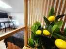 Apartamenty w Koszalinie - 9