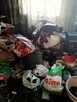 Przeprowadzki Wywóz Mebli Gabarytów Śmieci Mieszanych - 3