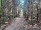 Atrakcyjna działka rolno-leśna - 3