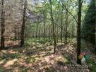 Atrakcyjna działka rolno-leśna - 4