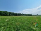 Atrakcyjna działka rolno-leśna - 5