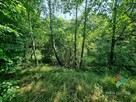 Atrakcyjna działka rolno-leśna - 8